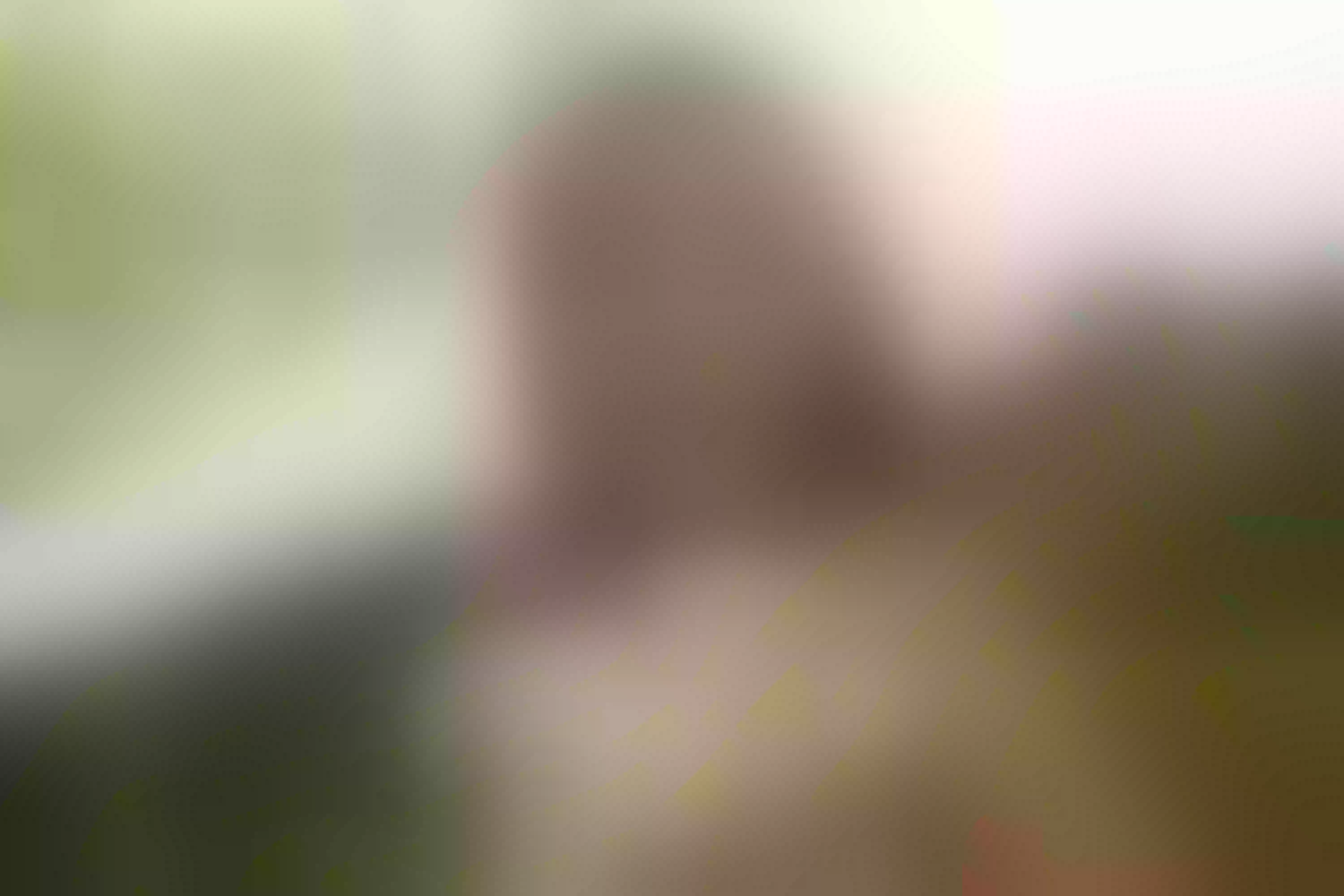 Live sex webcam photo for MelanyHarperr #7445668