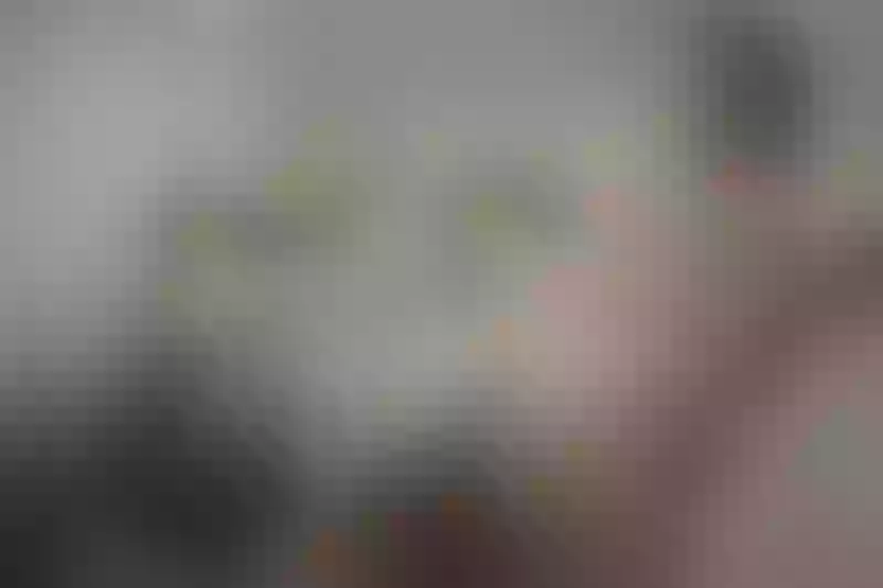 Live sex webcam photo for CloeKliston #3046469
