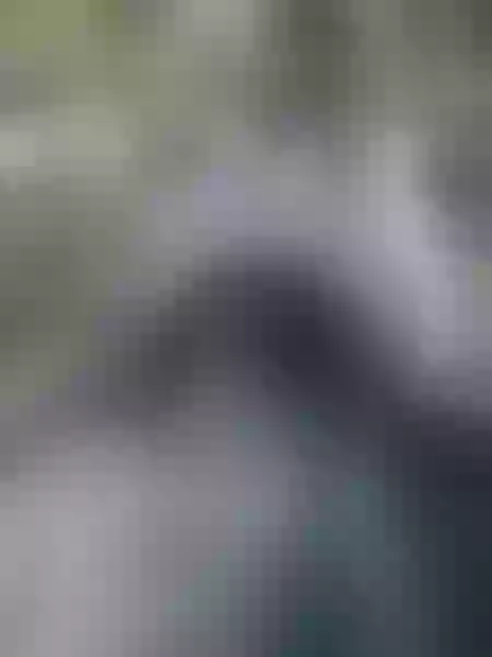 Live sex webcam photo for SkarletteLUV #3410623