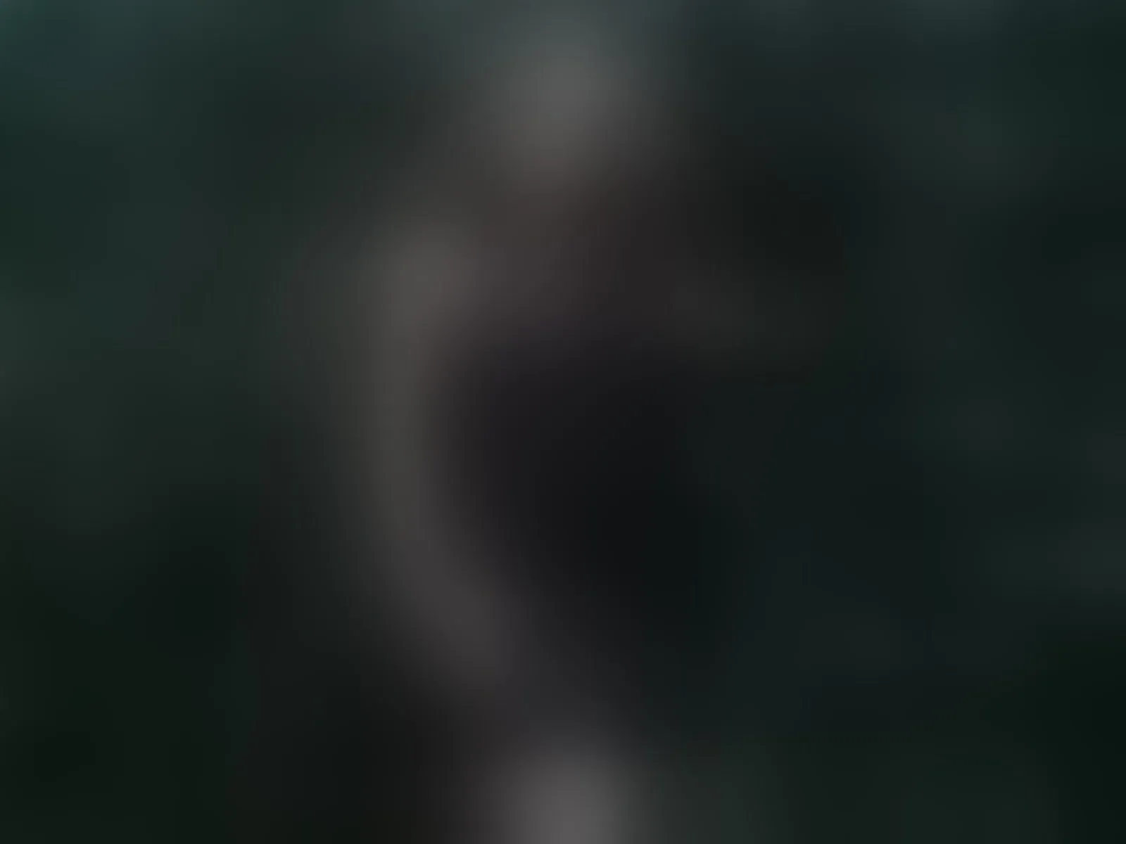 Live sex webcam photo for PetiteAlyssa #8424624
