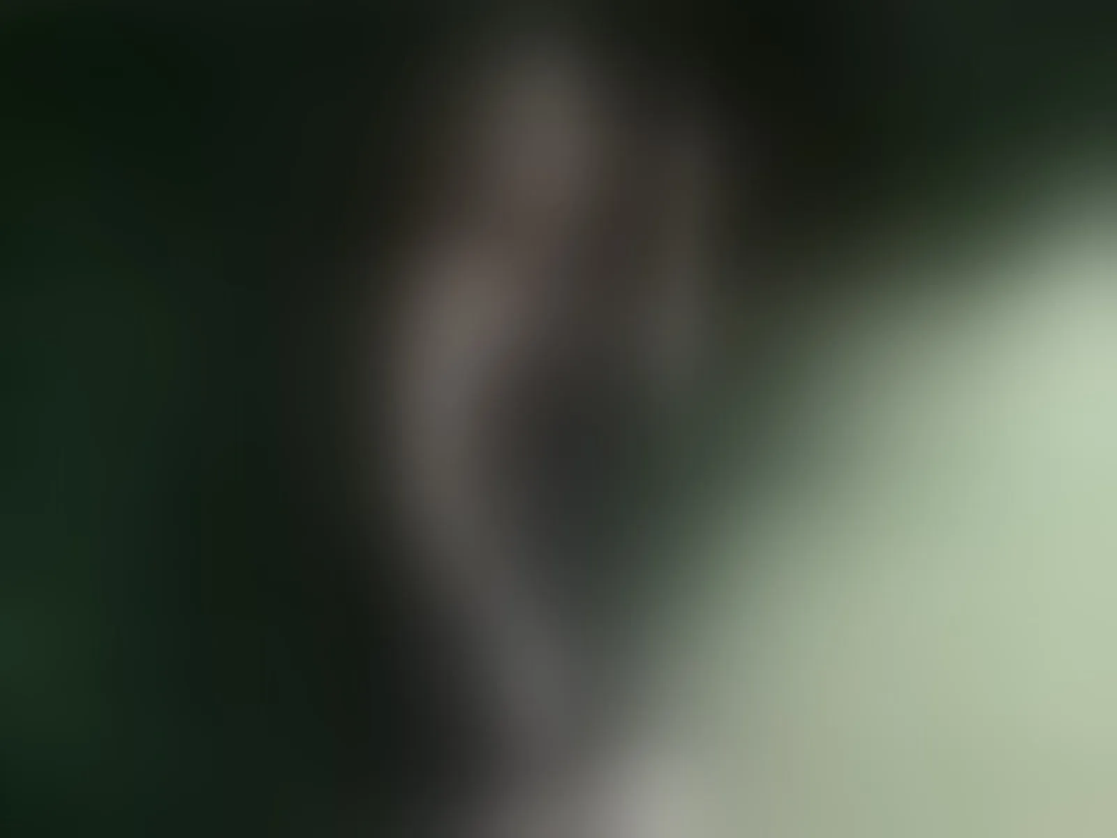 Live sex webcam photo for PetiteAlyssa #8424618