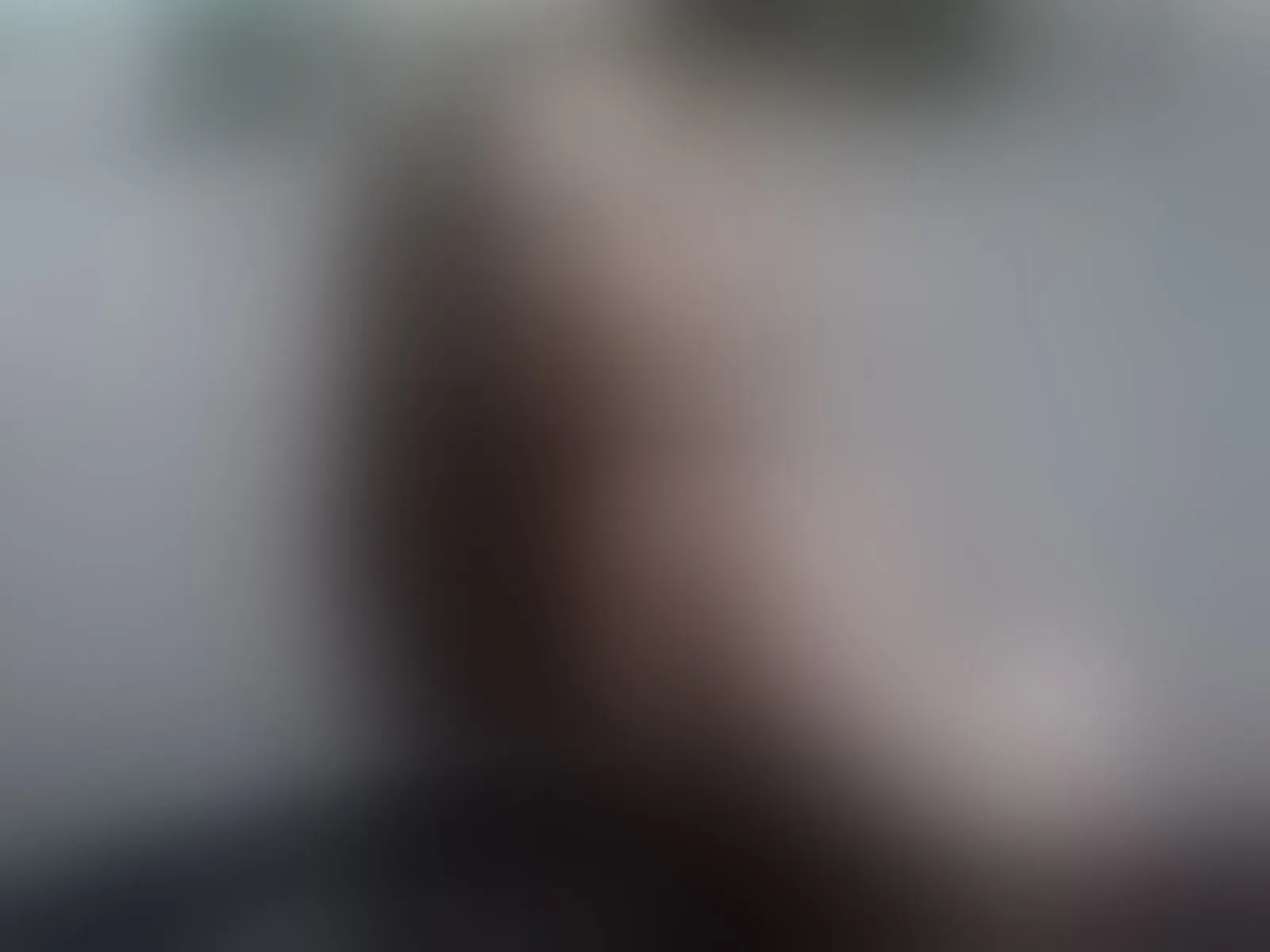 Live sex webcam photo for PetiteAlyssa #8424623