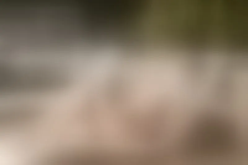 Live sex webcam photo for ZoeTurnner #3489742