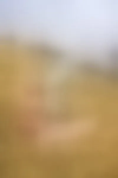 Live sex webcam photo for Kessiaa #2790643
