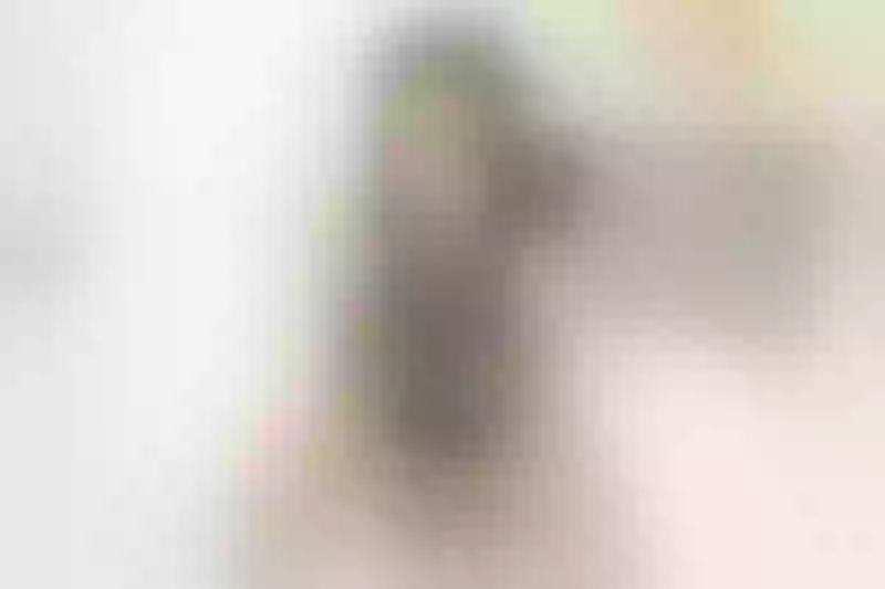 Live sex webcam photo for SashaRoh #3624934