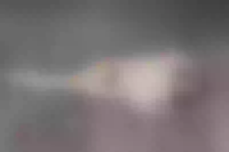 Live sex webcam photo for SashaRoh #4053404