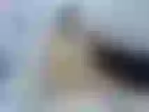 Live sex webcam photo for VivianPorter #2556079