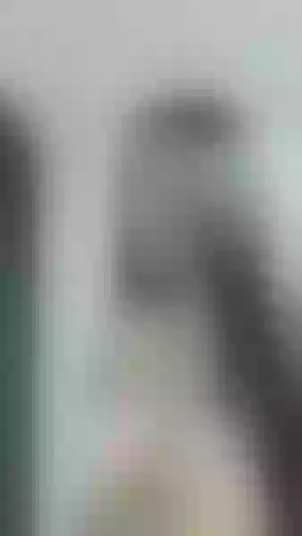Live sex webcam photo for LudovicaSmith #2668861