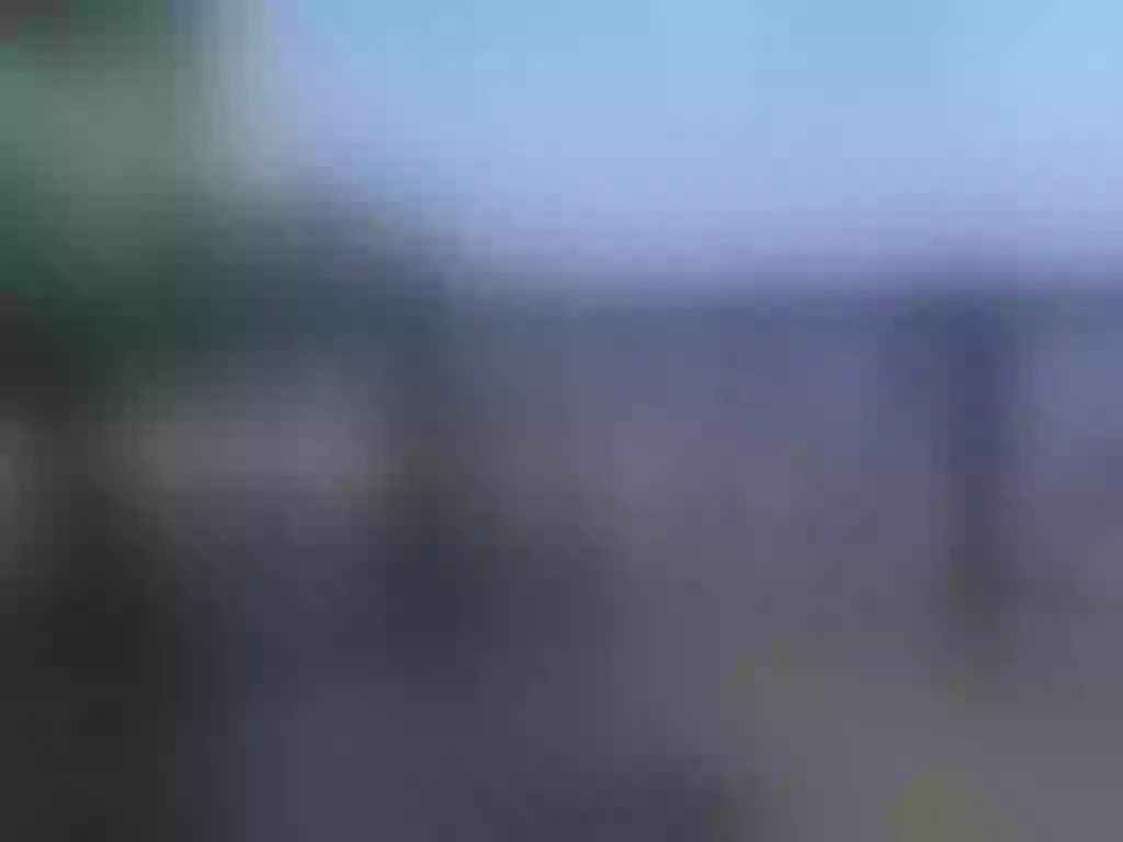 Live sex webcam photo for GraceBurrell #7234062