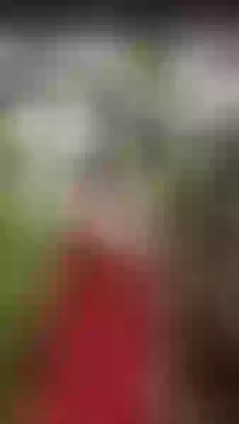 Live sex webcam photo for RachelHawkiins #7865949