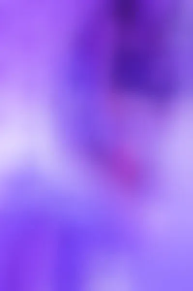 Live sex webcam photo for ValeryFrancis #3288402