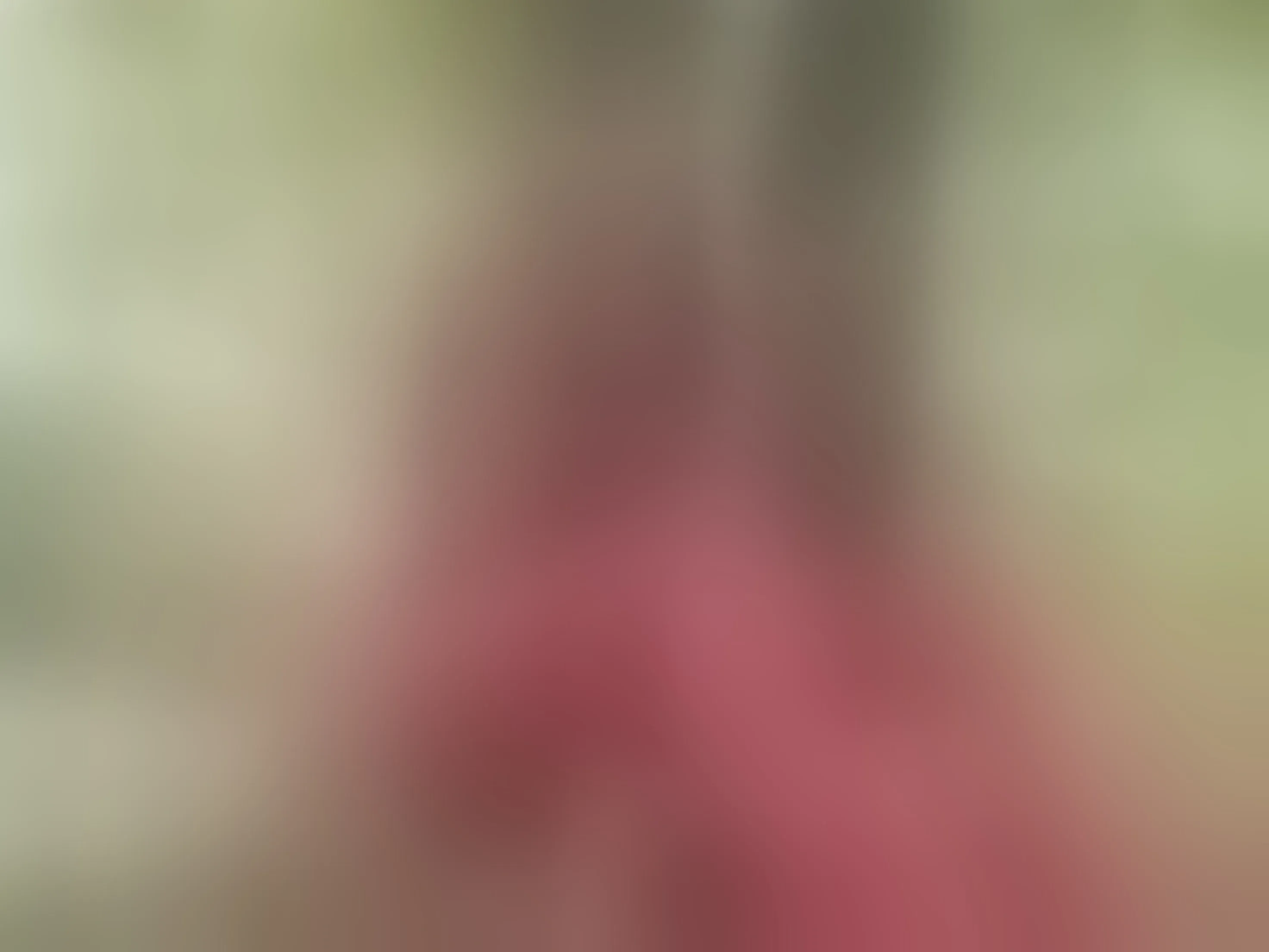 Live sex webcam photo for NicoleRivas #8418490