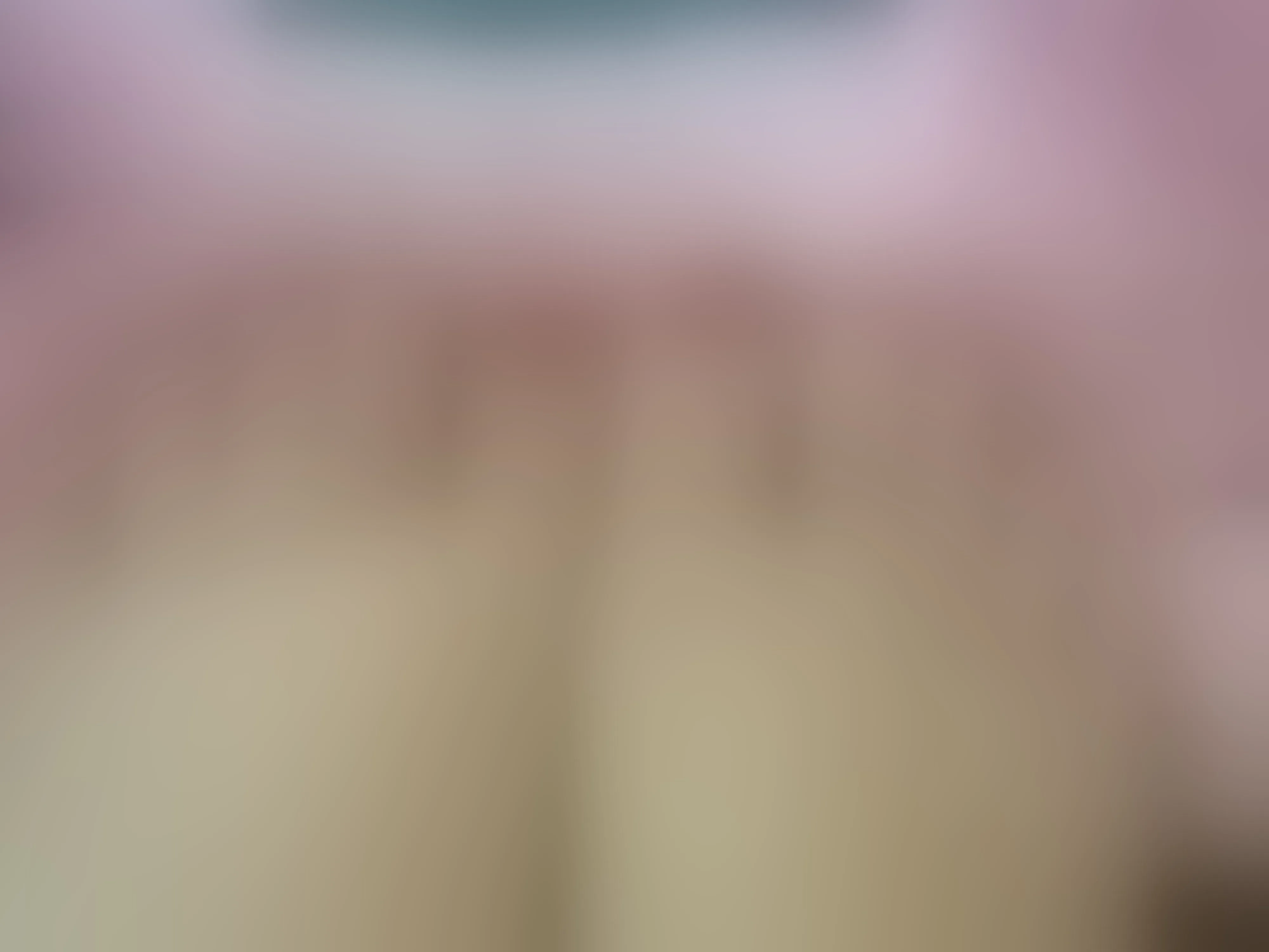 Live sex webcam photo for NicoleRivas #8418614