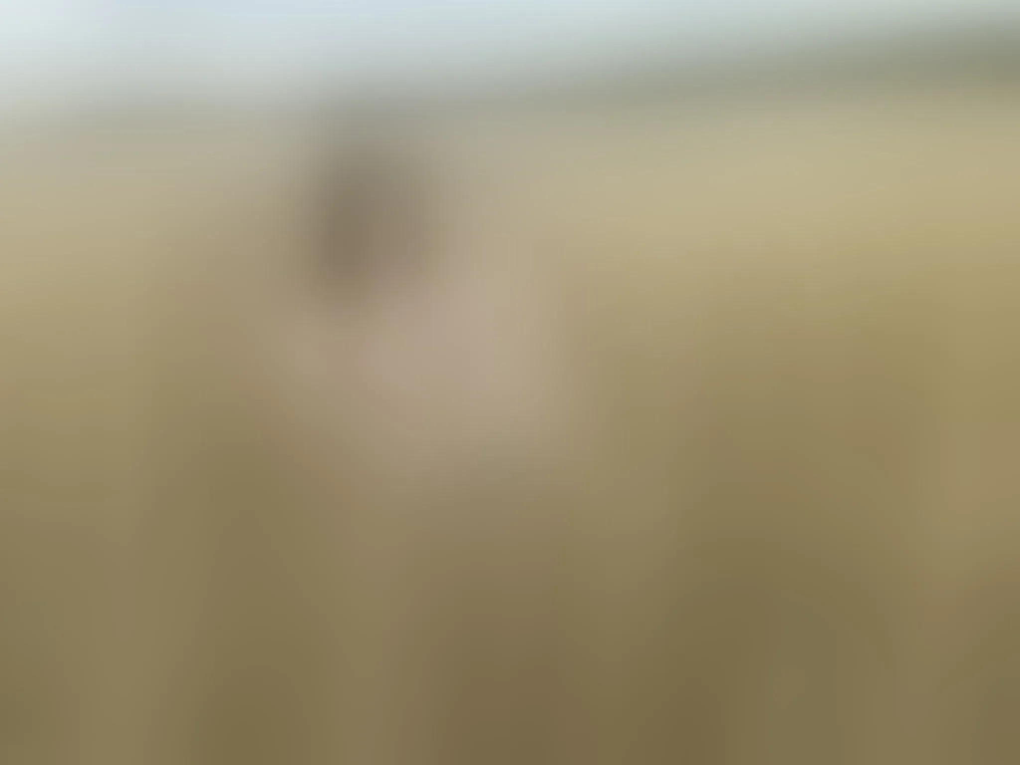 Live sex webcam photo for NicoleRivas #8418815
