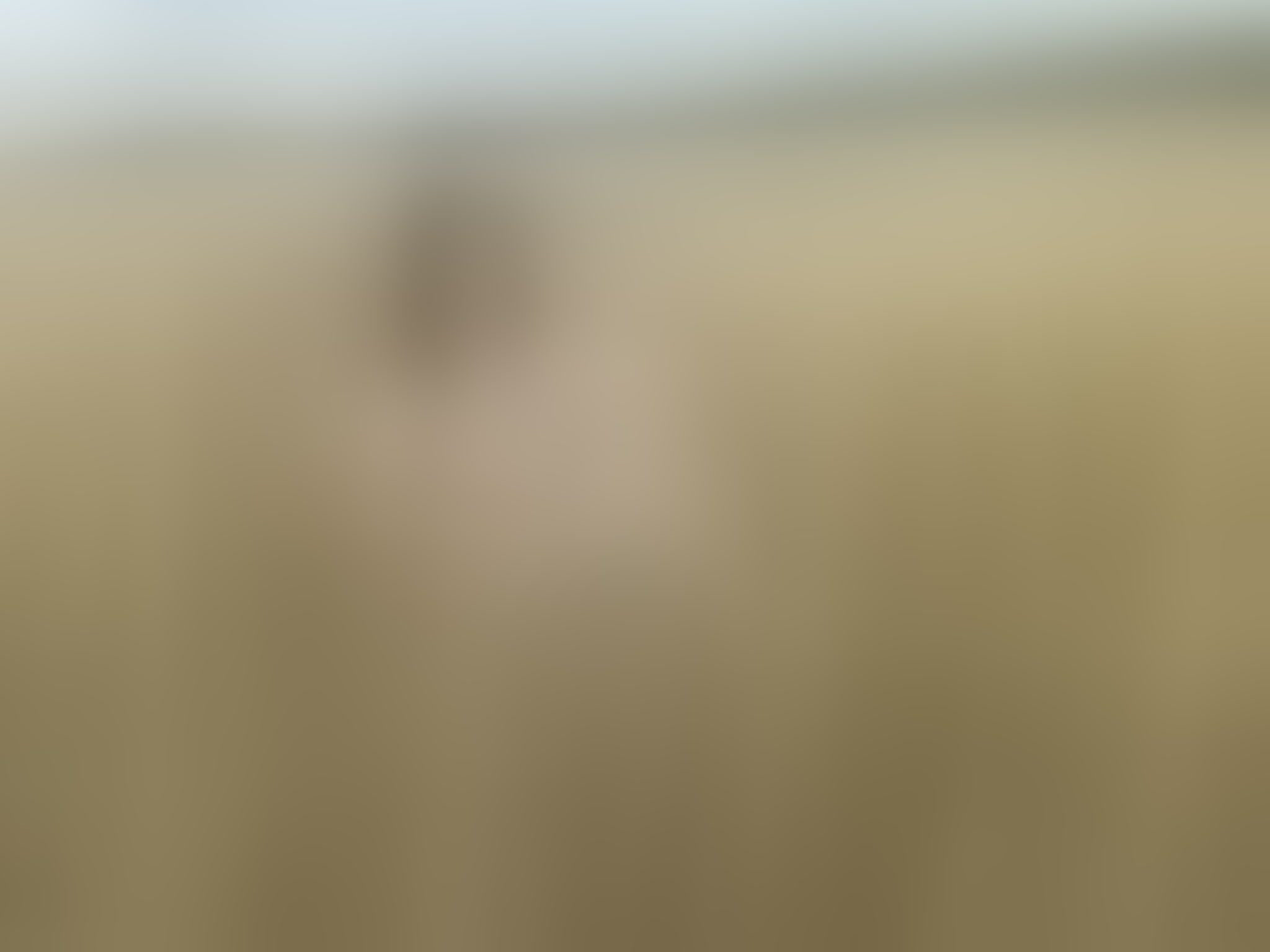 Live sex webcam photo for NicoleRivas #8418850