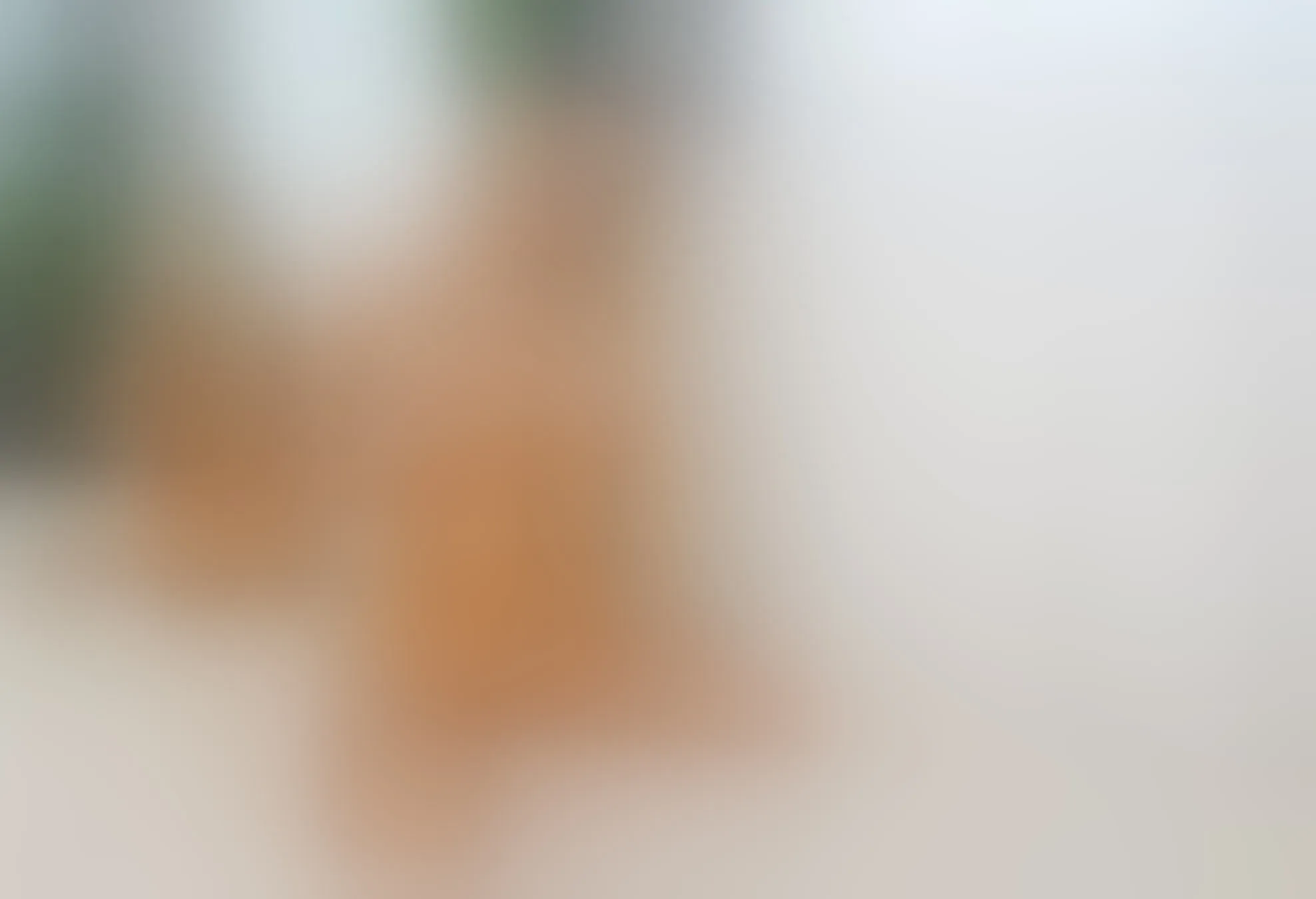 Live sex webcam photo for IsabellaJenner #8401452