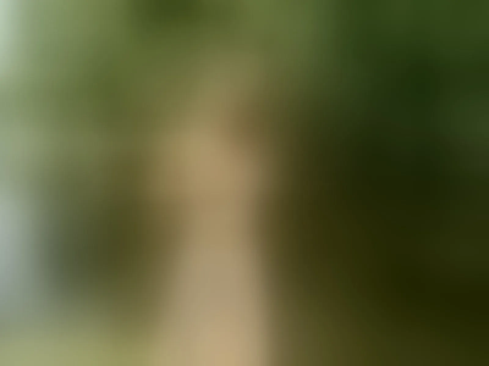 Live sex webcam photo for IsabellaJenner #8400311