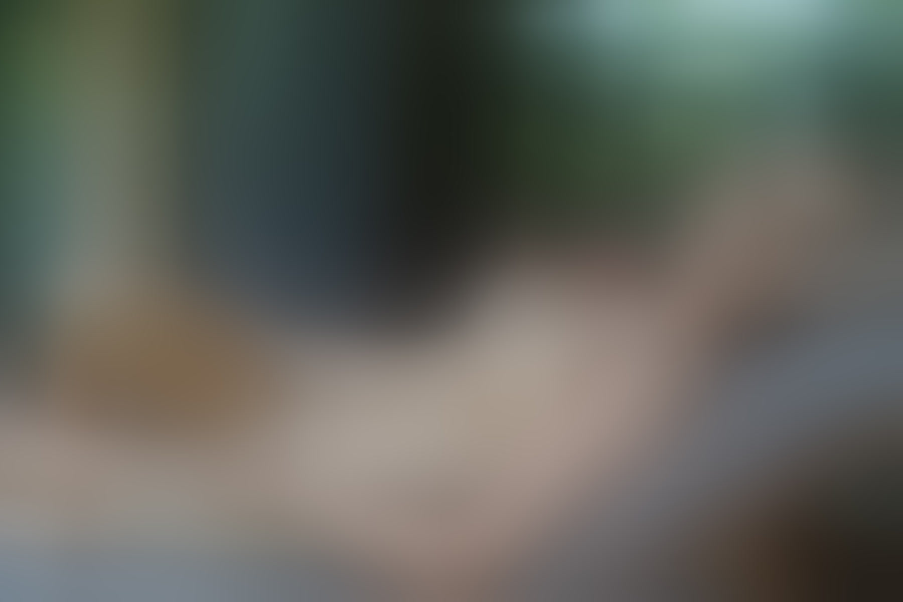 Live sex webcam photo for IsabellaJenner #8399555