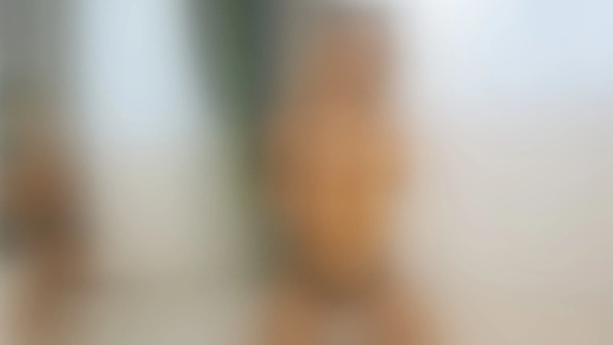 Live sex webcam photo for IsabellaJenner #8401495