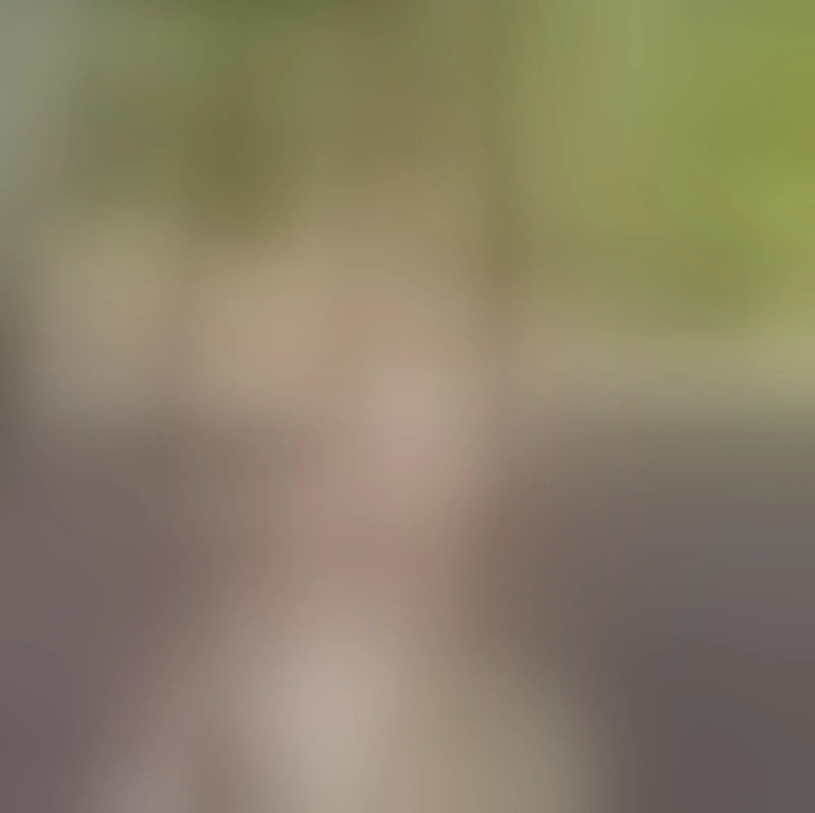 Live sex webcam photo for IsabellaJenner #8400248
