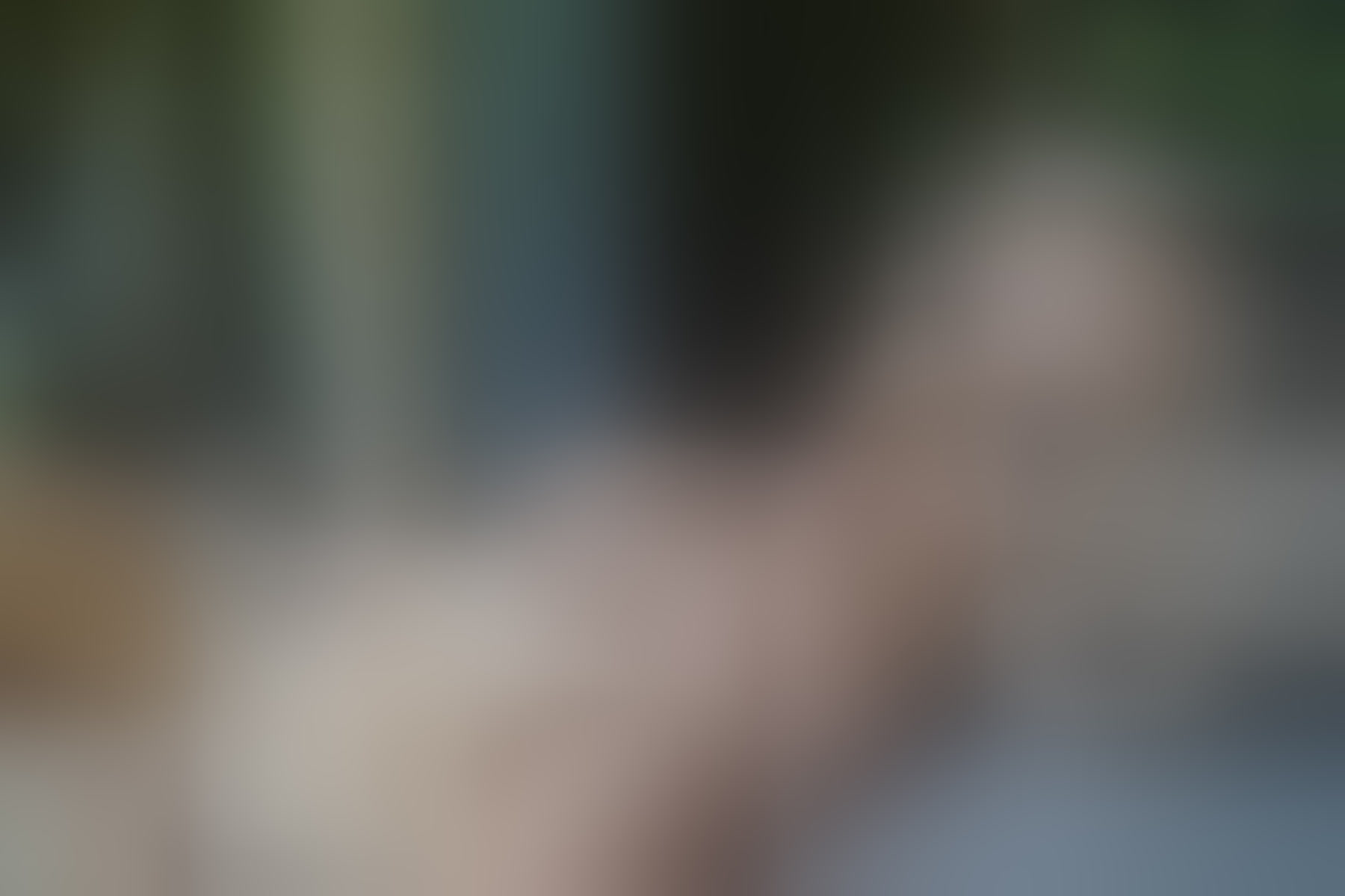 Live sex webcam photo for IsabellaJenner #8399542