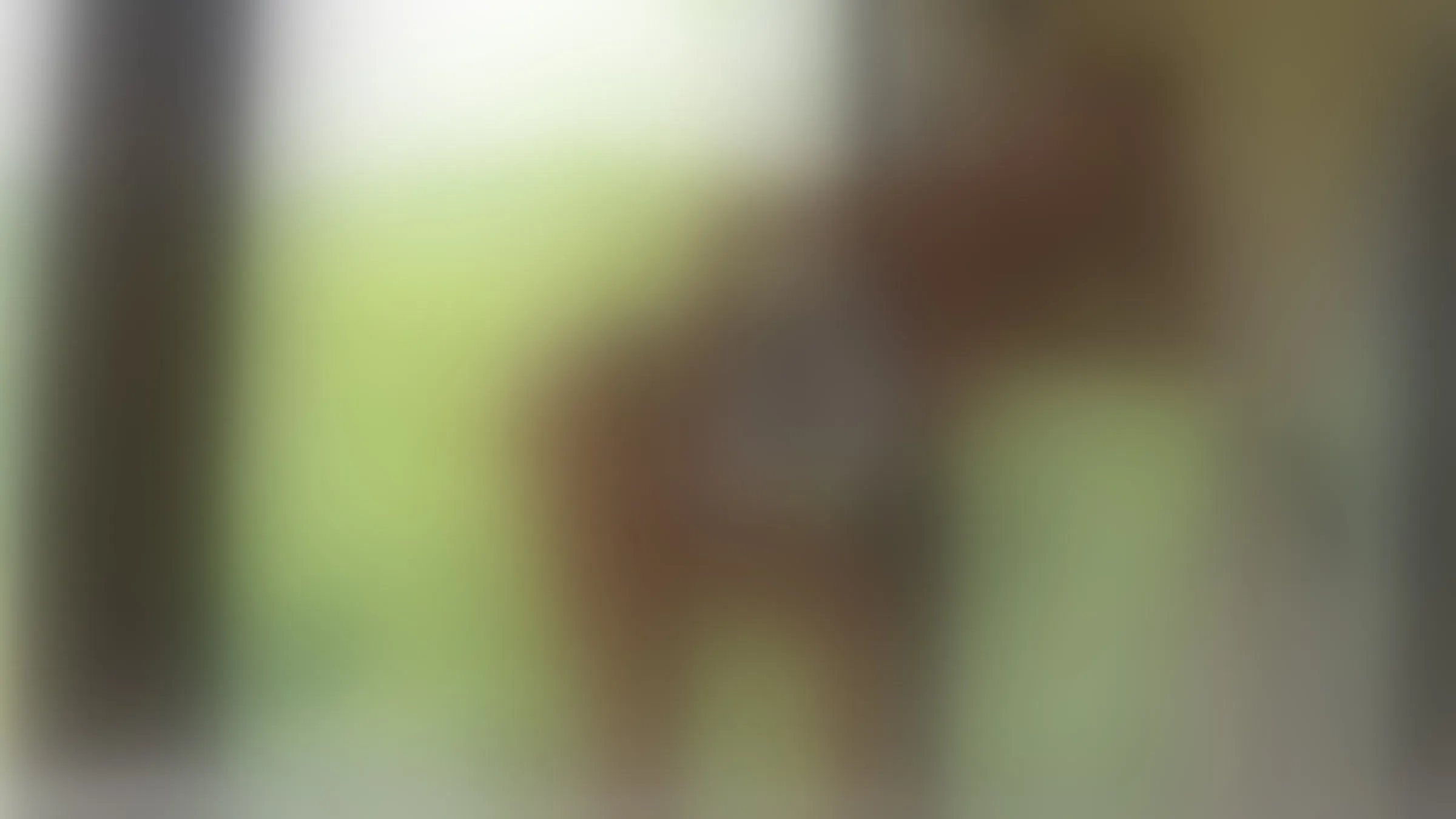 Live sex webcam photo for IsabellaJenner #8399999