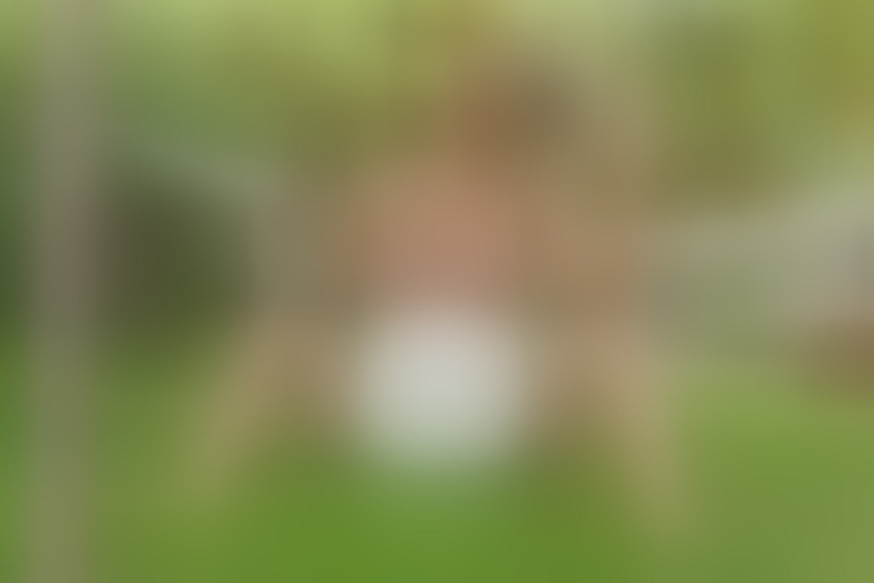 Live sex webcam photo for IsabellaJenner #8400202