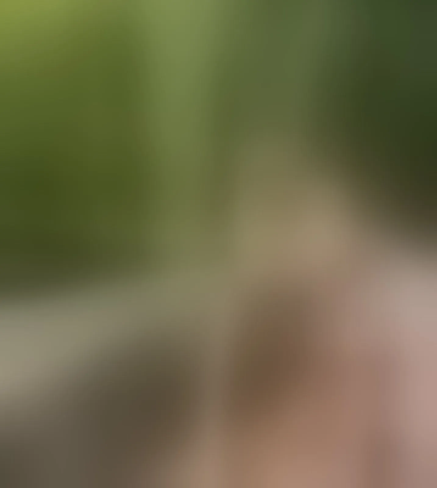 Live sex webcam photo for IsabellaJenner #8400246