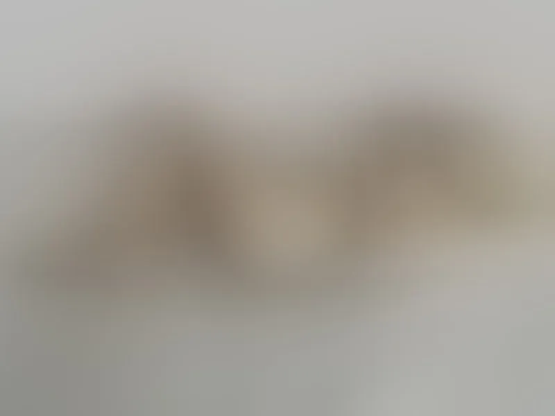 Live sex webcam photo for LiahandGroot #2869163