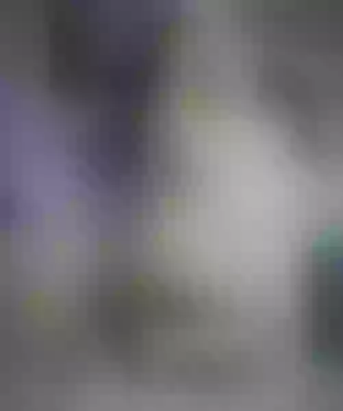 Live sex webcam photo for Damararoland #2841919