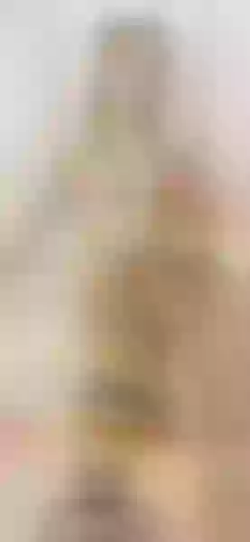 Live sex webcam photo for Damararoland #2801673