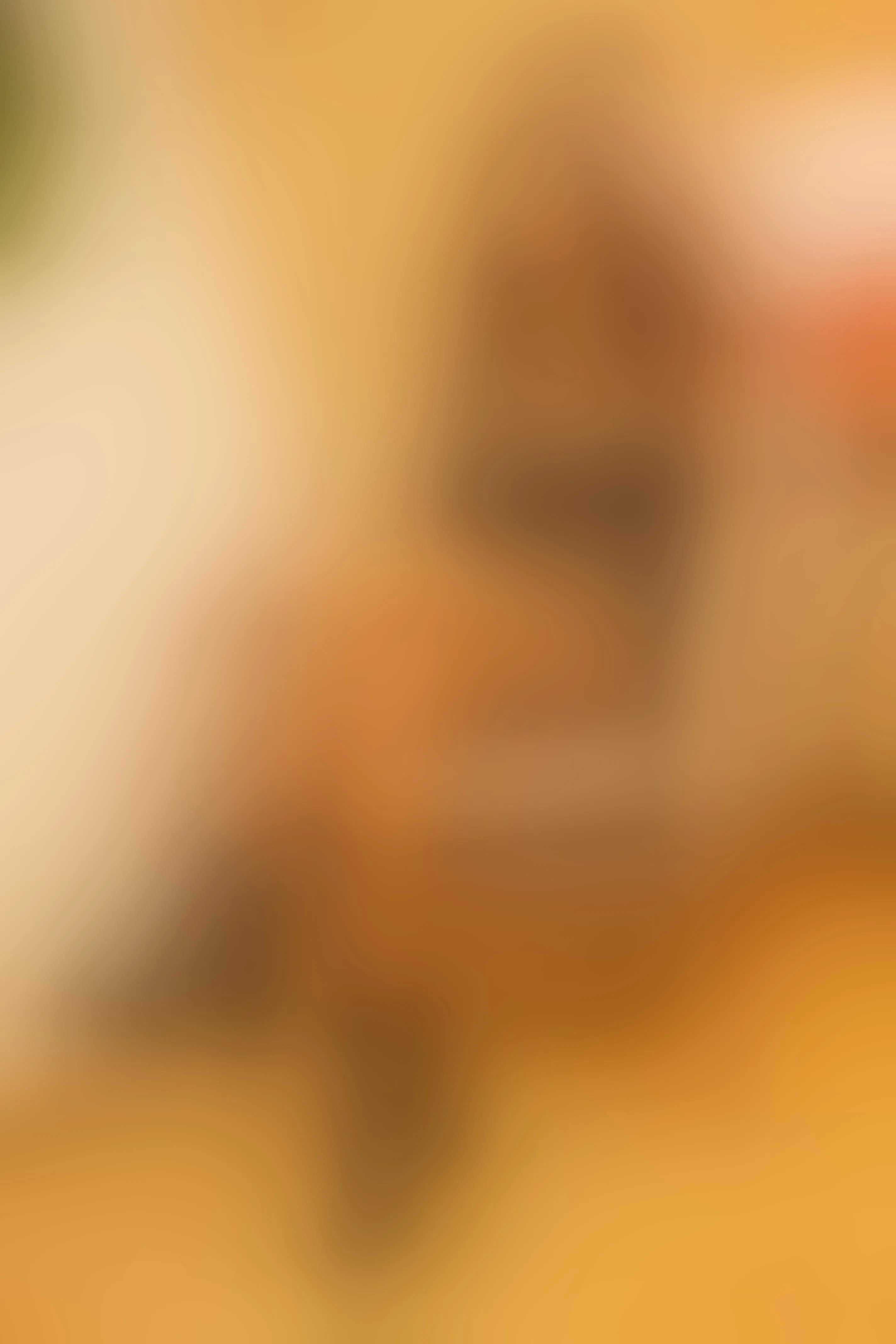 Live sex webcam photo for CharlotteBrowns #7362434