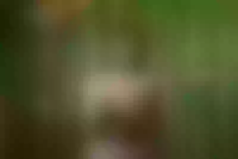 Live sex webcam photo for LianStone #4109211