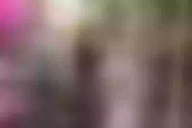 Live sex webcam photo for ArinaPeach #4211998