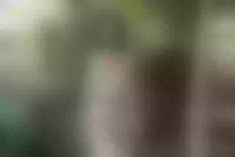 Live sex webcam photo for ArinaPeach #4211996
