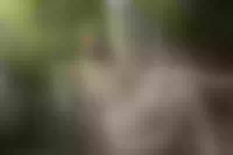 Live sex webcam photo for ArinaPeach #4211995