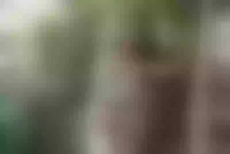 Live sex webcam photo for ArinaPeach #4211994