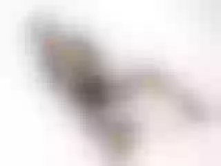 Live sex webcam photo for Torilee1988 #6911411