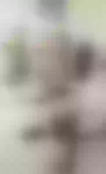 Live sex webcam photo for WendySabinna #3138645