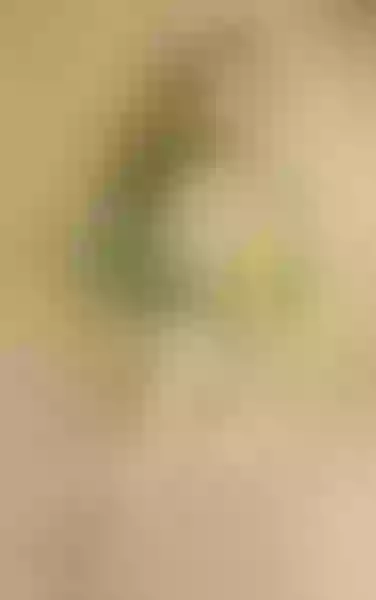 Live sex webcam photo for WendySabinna #3138664