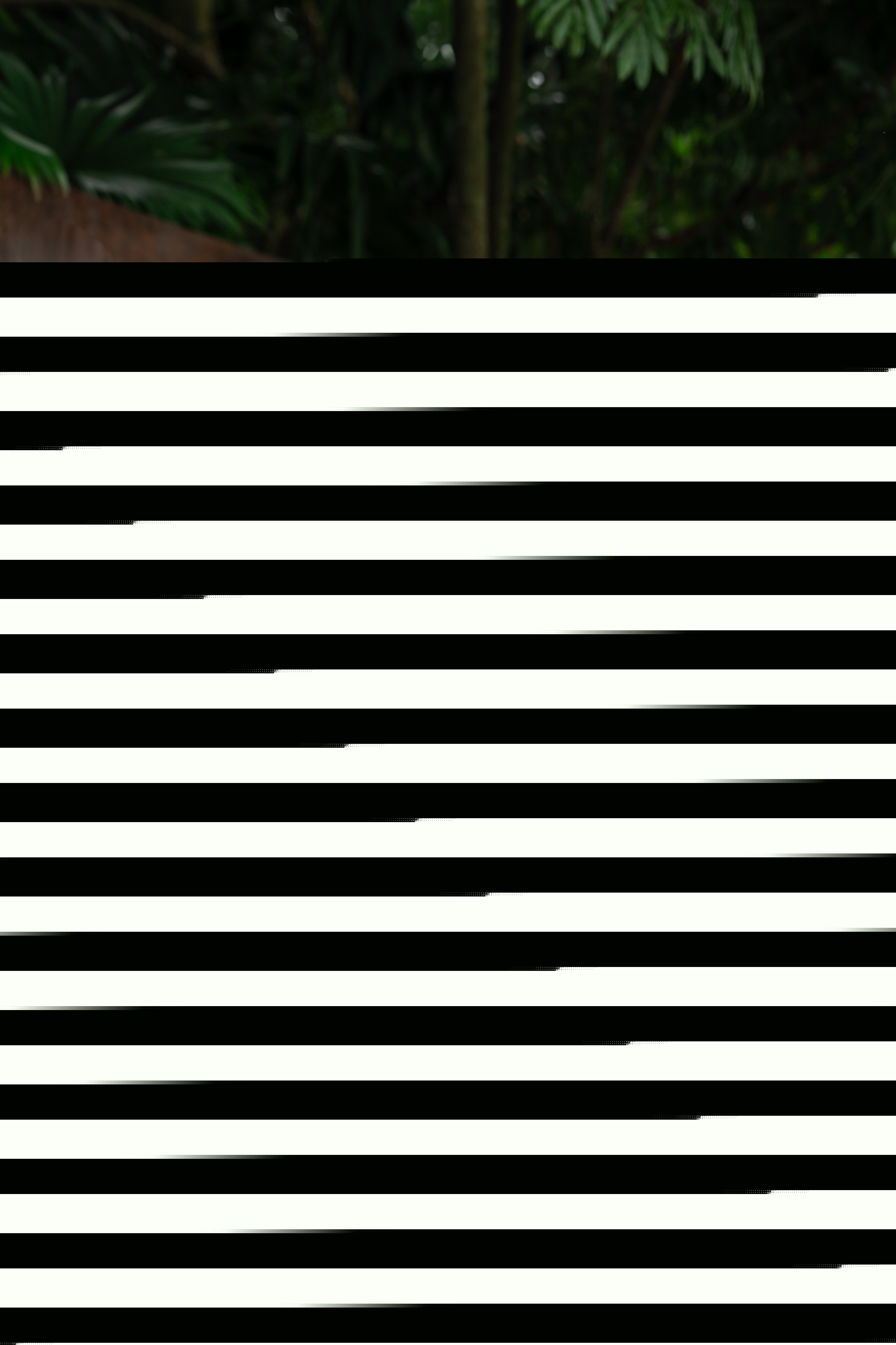 Live sex webcam photo for BbyySophie74 #7150996