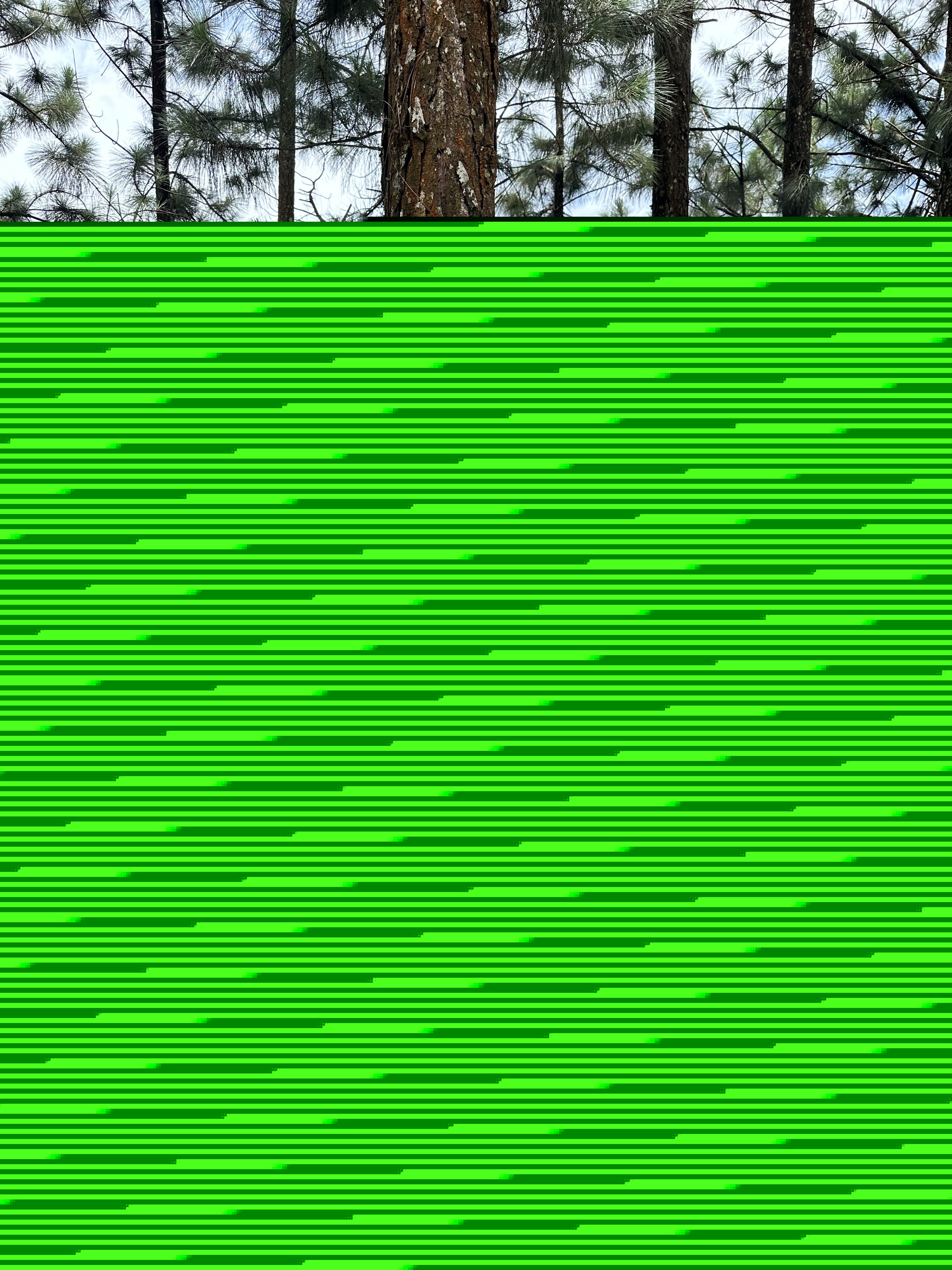 Live sex webcam photo for BbyySophie74 #7151025