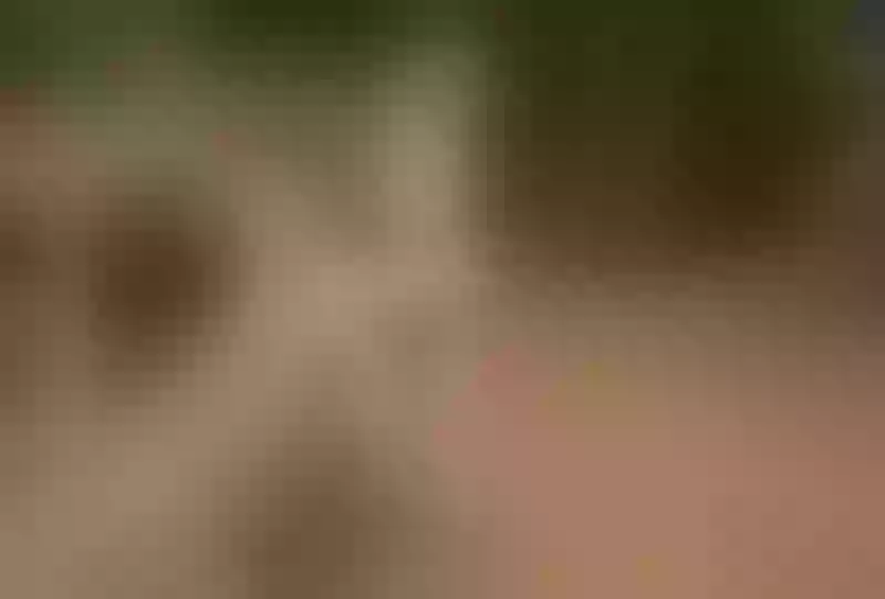 Live sex webcam photo for MiaLaurente #5702660