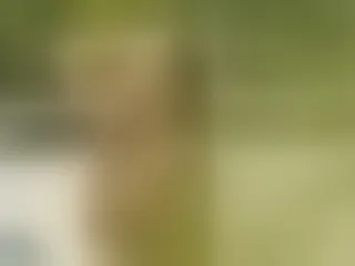Live sex webcam photo for MaloryBrown #8335931