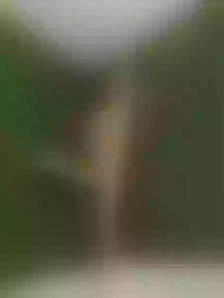 Live sex webcam photo for OlenaRoselli #3161576
