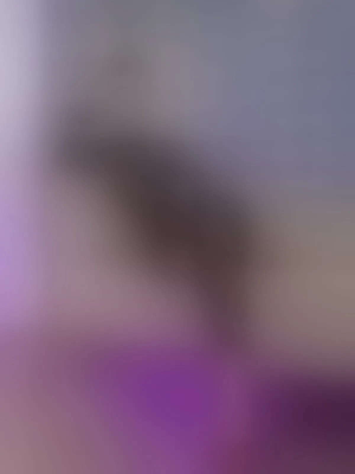 Live sex webcam photo for HollyBrensone #8236983