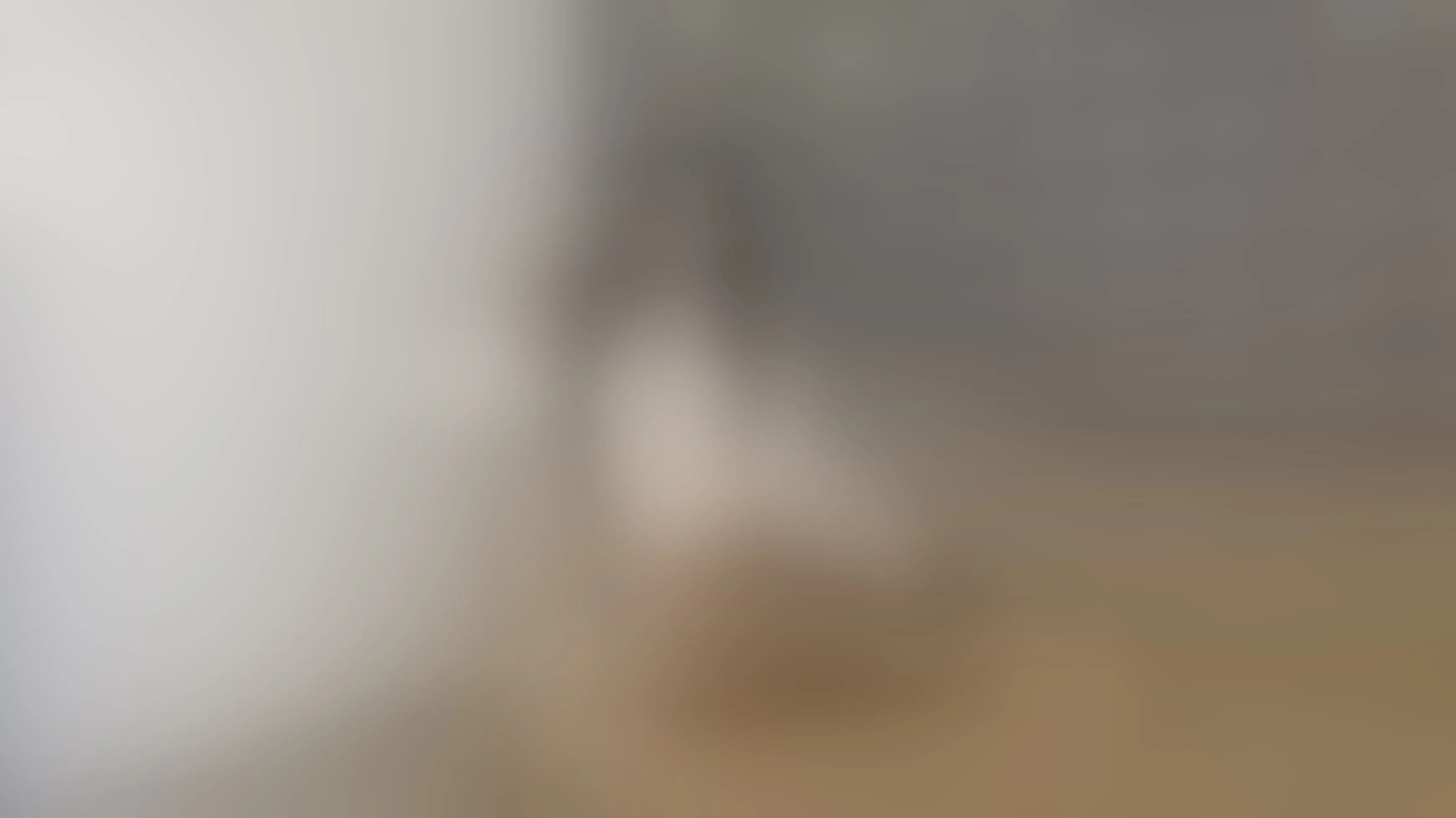 Live sex webcam photo for HollyBrensone #8494360