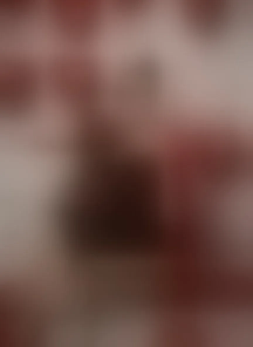 Live sex webcam photo for HollyBrensone #8275293