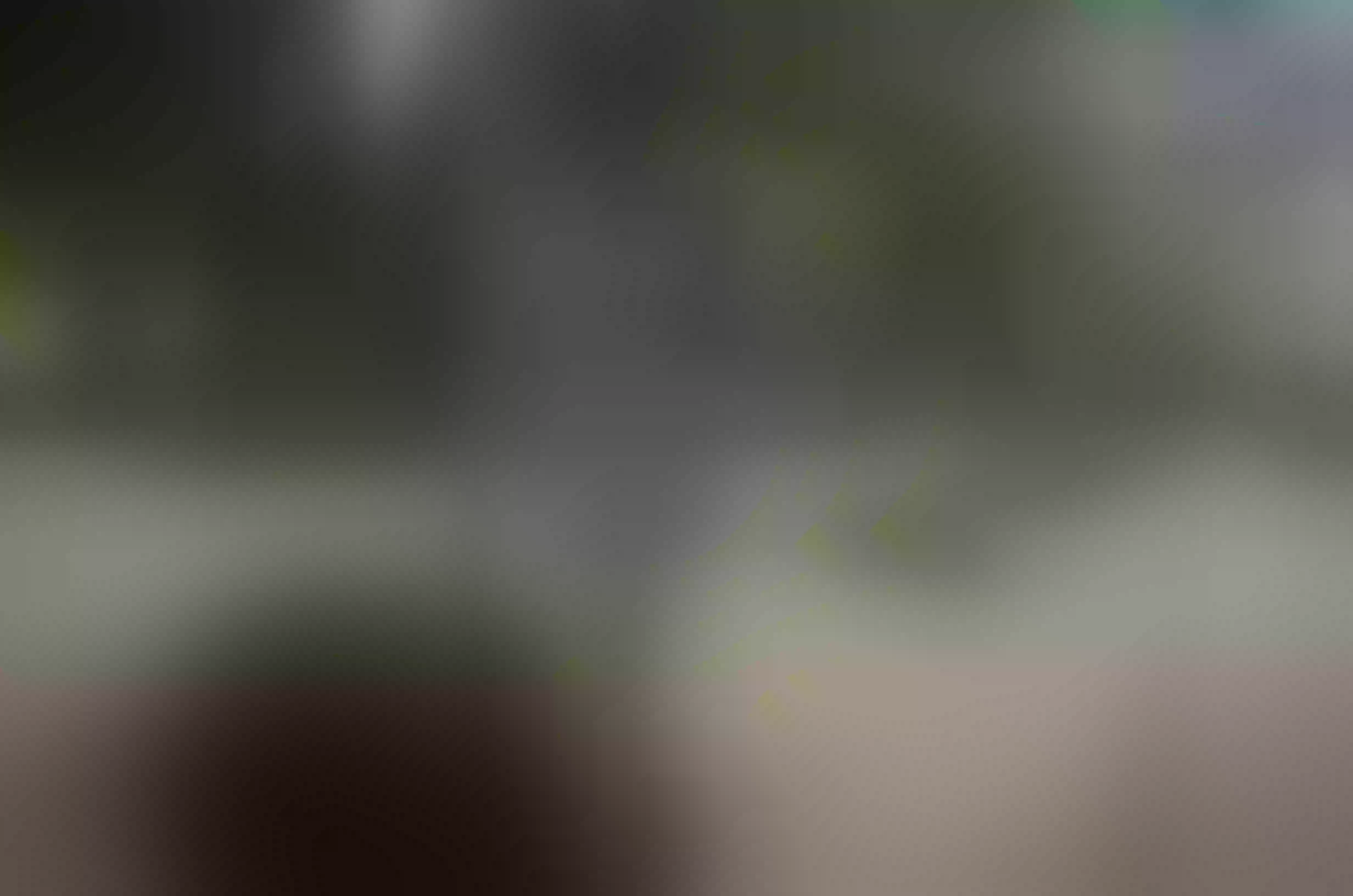 Live sex webcam photo for PauletteWatson #7879403