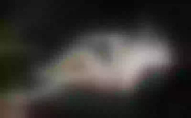 Live sex webcam photo for EmeldaGrace #2730031